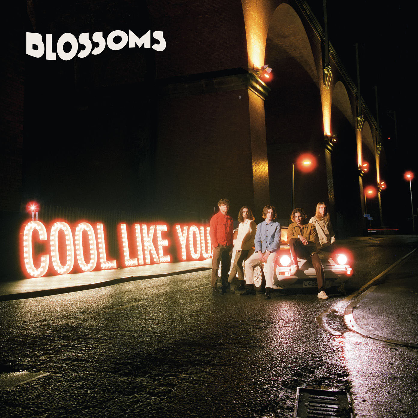 Cool Like You by Blossoms